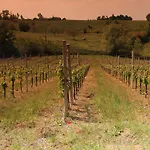Le Casette Castelvetro di Modena