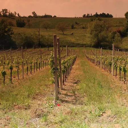 Agriturismo Le Casette Кастельветро-ди-Модена