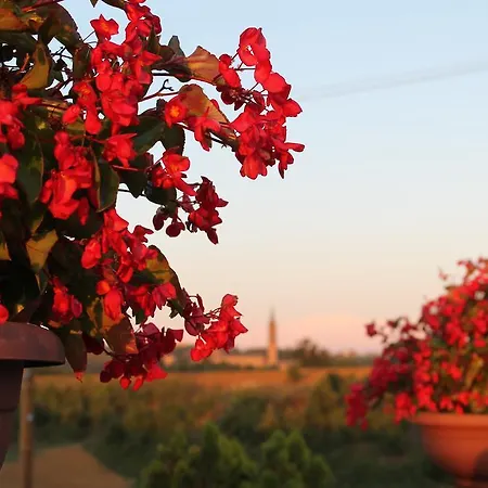 Κατάλυμα σε φάρμα Le Casette Castelvetro di Modena