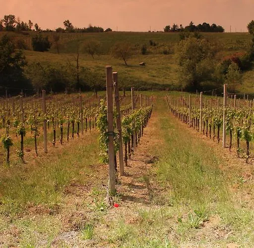 Le Casette Castelvetro di Modena