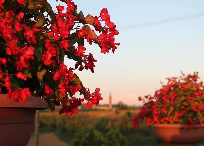 Farmház Le Casette Castelvetro di Modena